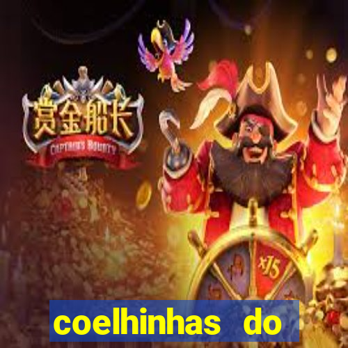 coelhinhas do brasil recife